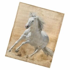 BedTex Mikropoliész takaró Fehér ló, 130 x 160 cm kép