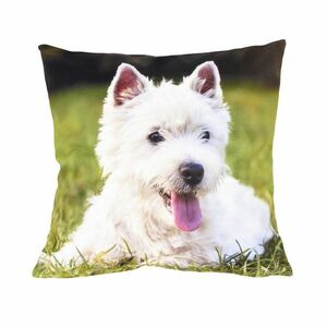 Westik párnahuzat, 40 x 40 cm kép