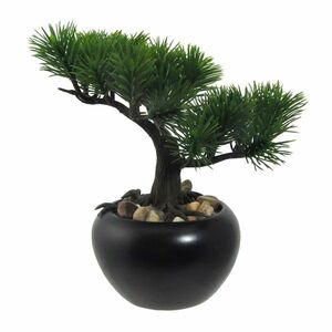 Mű bonsai Fenyő virágcserépben, zöld, 19cm kép