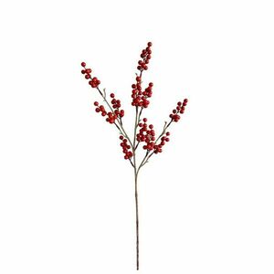 Vágott ág piros bogyókkal kép