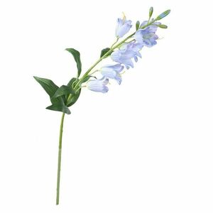 Műcsengő kék, 70 cm kép