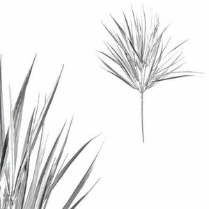 Műfű, ezüst matt kép