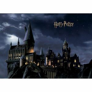 Harry Potter fotótapéta 252 x 182 cm, 4 részes kép
