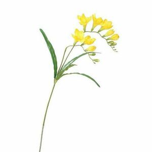 Freesia művirág sárga, 57 cm kép