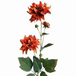 Művirág, rozsdás árvácska, 72 cm kép