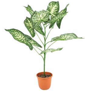 Syngonium művirág virágtartóban kép