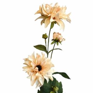 Művirág Jiřina sz. barack, 72 cm kép