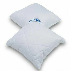 Kvalitex Aloe Vera párna cipzárral 300 g , 40 x 40 cm kép