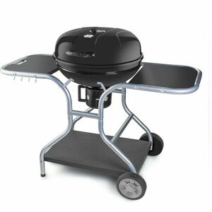 Fieldmann FZG 1014 Faszénnel működő grill kép