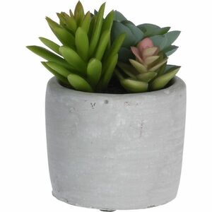 Mű szukkulensek betoncserépben, 9 x 11 x 9 cm, mix kép