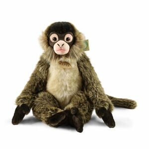 Rappa Plüss chápan 30 cm ECO-FRIENDLY kép