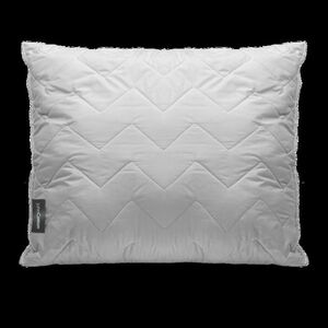 John Cotton CleanLiness párna, 70 x 90 cm, 70 x 90 cm kép