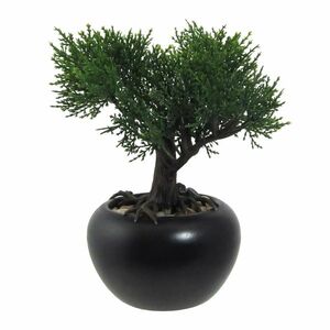 Mű bonsai Cédrus virágcserépben, zöld, 19 cm kép