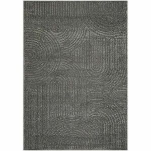 Szőnyeg Alloy 0, 8/1, 2 50002 B6V K kép