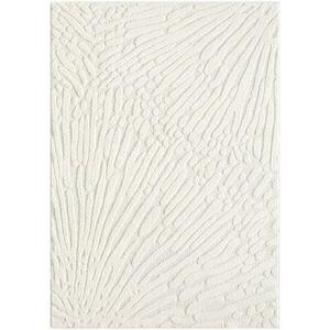 Szőnyeg Alba 0, 8/1, 5 FR2505 krém kép