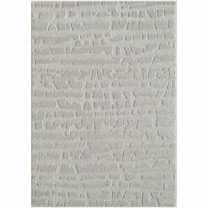 Szőnyeg Alba 0, 8/1, 5 FR2522 szürke kép