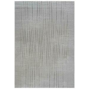 Szőnyeg Argentum 1, 2/1, 7 63907 6979 0 4 kép