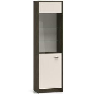 Vitrin Avante 02 tölgy Windmill Dark/Kasmír kép