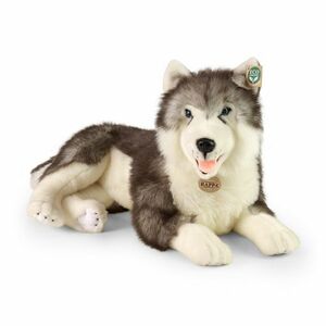 Rappa Plüsshund Husky liegend 60 cm kép