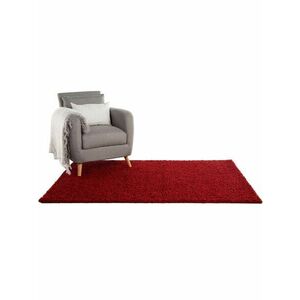 Szőnyeg SWIRLS bordó 160x230 kép