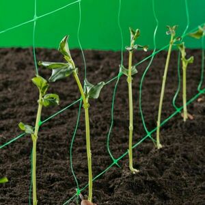 Növénytartó háló Trellinet 1.7x500m 150x170 zöld 2000731 kép