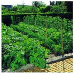 Növénytartó háló 1, 2x20m 150x150 natúr kép