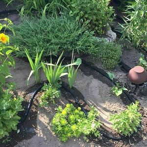 CSEPEGTETŐ TÖMLŐ 100 M - AQUA DROP 1/2 colos izzadó öntözőcső - W... kép