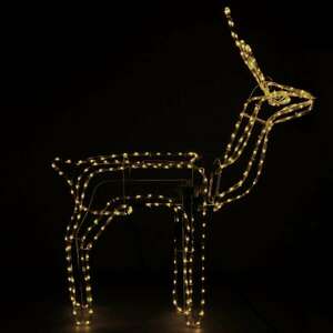 Springos rénszarvas fény kép