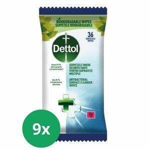 Dettol antibakteriális nedves Törlőkendő 9x36db kép