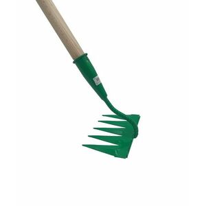 Saraboló - fogazott, 5 fogú NYELEZETT kép