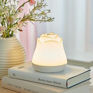 Éjszakai lámpa Rózsa kép