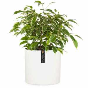 Fox & Fern Venlo, virágcserép, Polystone, beltér és kültér, 3 méret kép