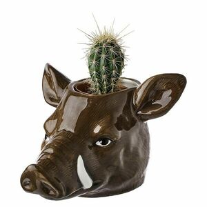 ENCHANTED FOREST kaspó, vaddisznó kép