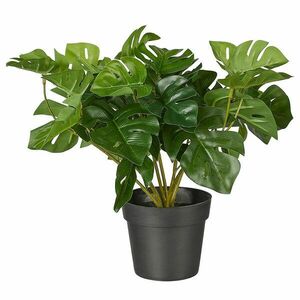 FLORISTA műnövény, monstera cserépben 25 cm kép