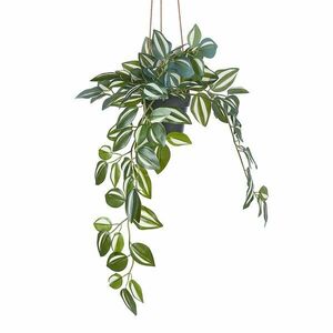 FLORISTA műnövény, futónövény cserépben kép