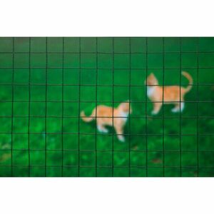 Erősített Drótkerítés - Műanyag Bevonat - 25x25mm - 1x2, 5m kép