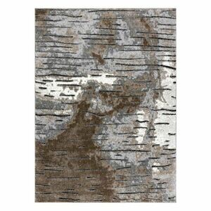 Szőnyeg VERS RIO barna 80x150 kép