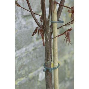 Növénykapocs, rögzítő klipsz 40db/csom 16, 5-20-25mm zöld Vegring 5022804 kép