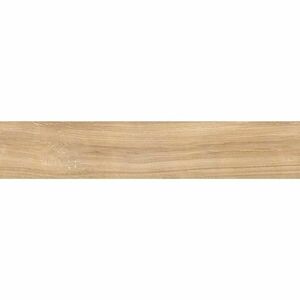 Csempe Gres Selva Beige Rectificado 23.3/120 kép