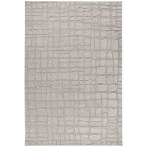 Szőnyeg Lotus 2, 0/2, 9 LOT301 ezüst kép