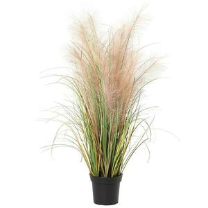 Műfű cserépben 26655 kép