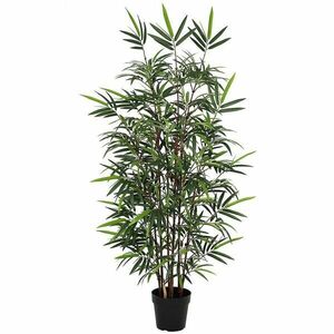 Művirág cserépben – bambusz 91077 kép