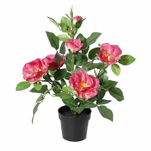 Mesterséges rózsa cserépben 92048 kép