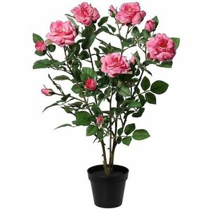 Mesterséges rózsa cserépben 92044 kép