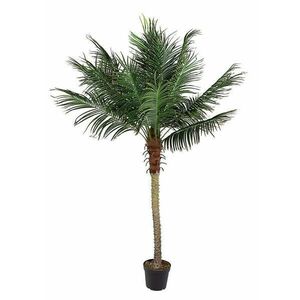 PALMA barna műanyag dekoráció kép