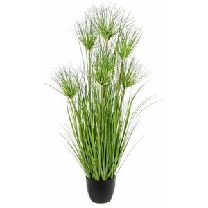 DESERTO II zöld pvc művirág kép