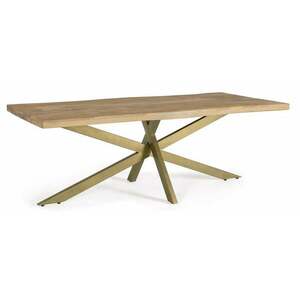 JAIDEV mangófa asztal 220 x 100cm kép