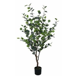 EUCALYPTUS zöld művirág kép