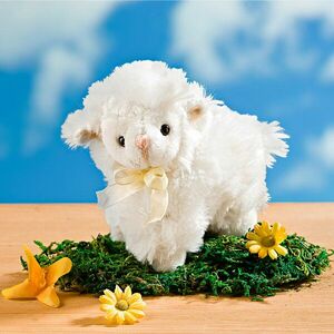 Hangos bárányka kép