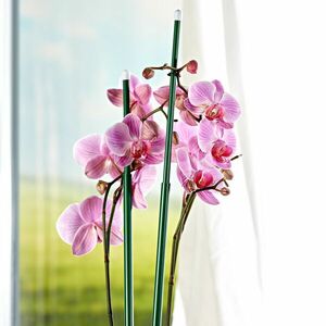 6 db teleszkópos növénytámasz kép